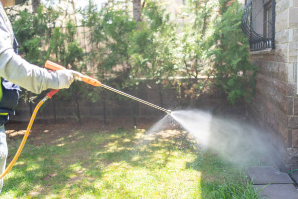 Best Pest Prevention Services  in Elmsford, NY